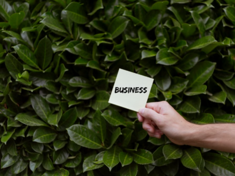 Smart SME Growth Strategies