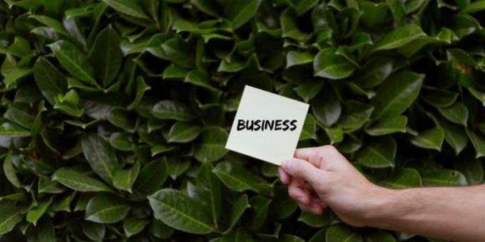 Smart SME Growth Strategies