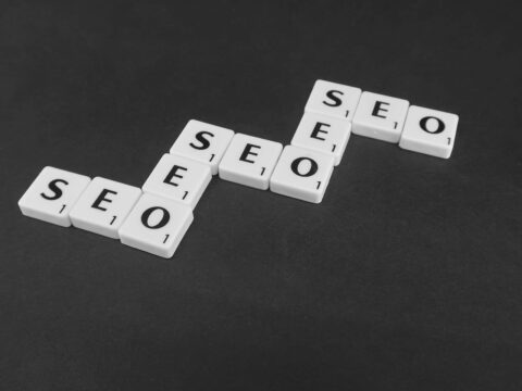 SEO Success Stories