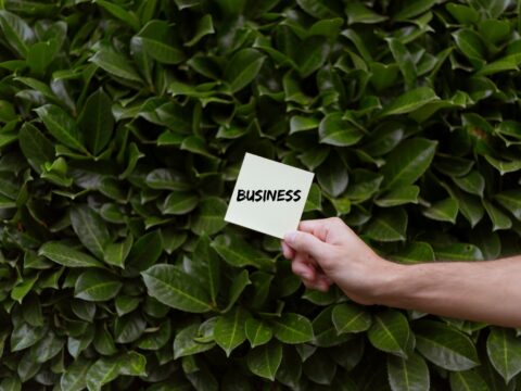 SME Growth Strategies