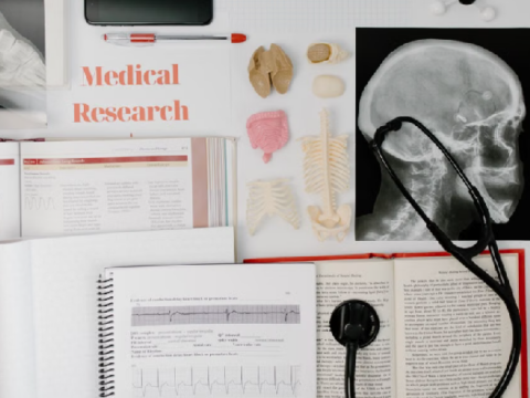 best healthcare degrees in 2026