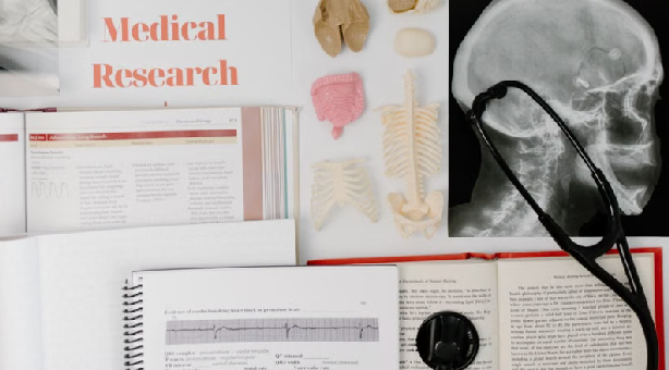 best healthcare degrees in 2026